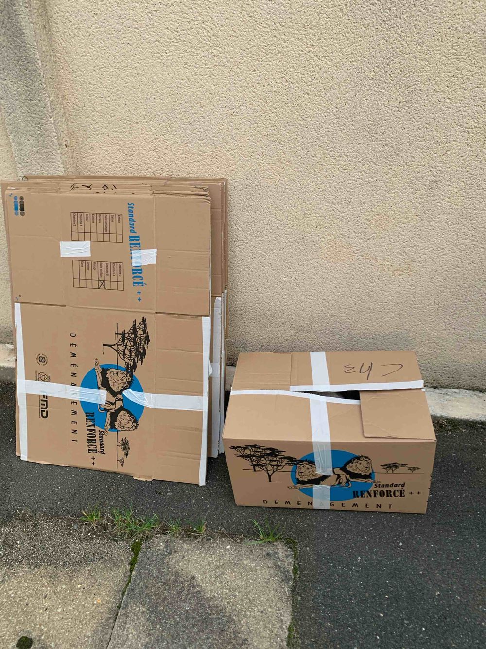 Image item