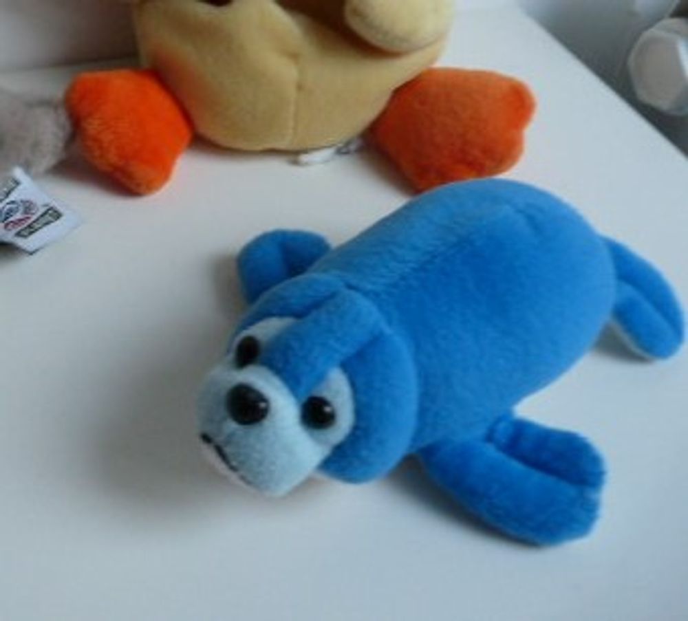 Image item
