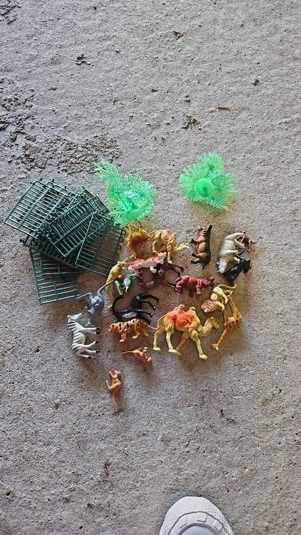 Image item