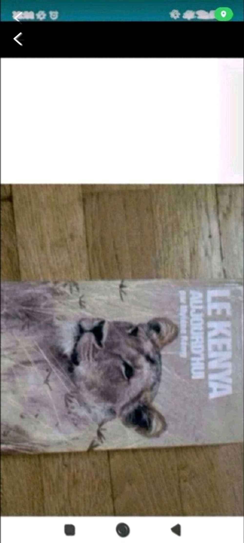 Image item
