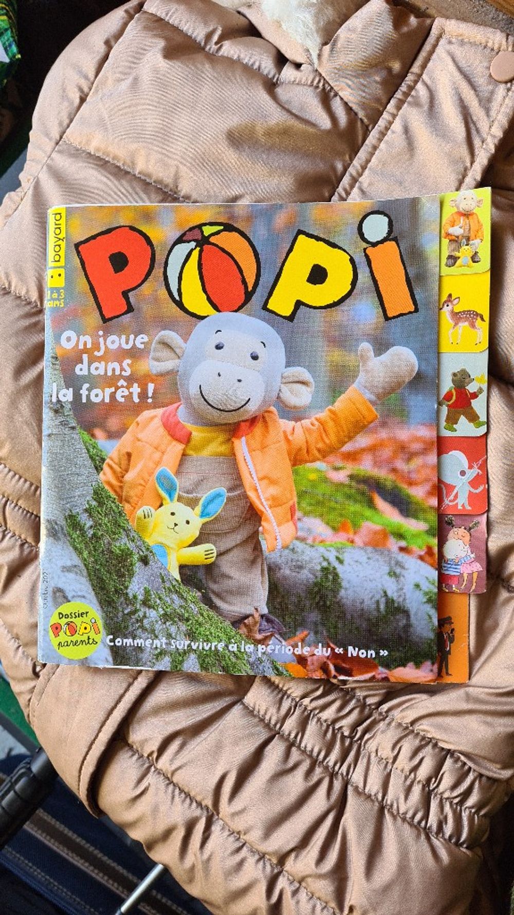 Image item