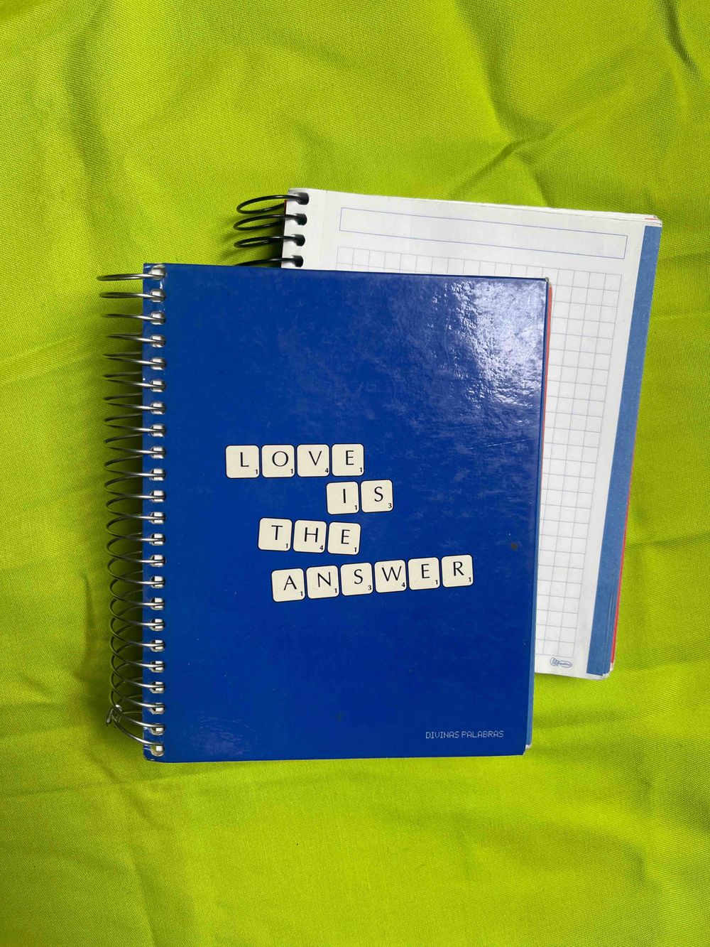 Image item