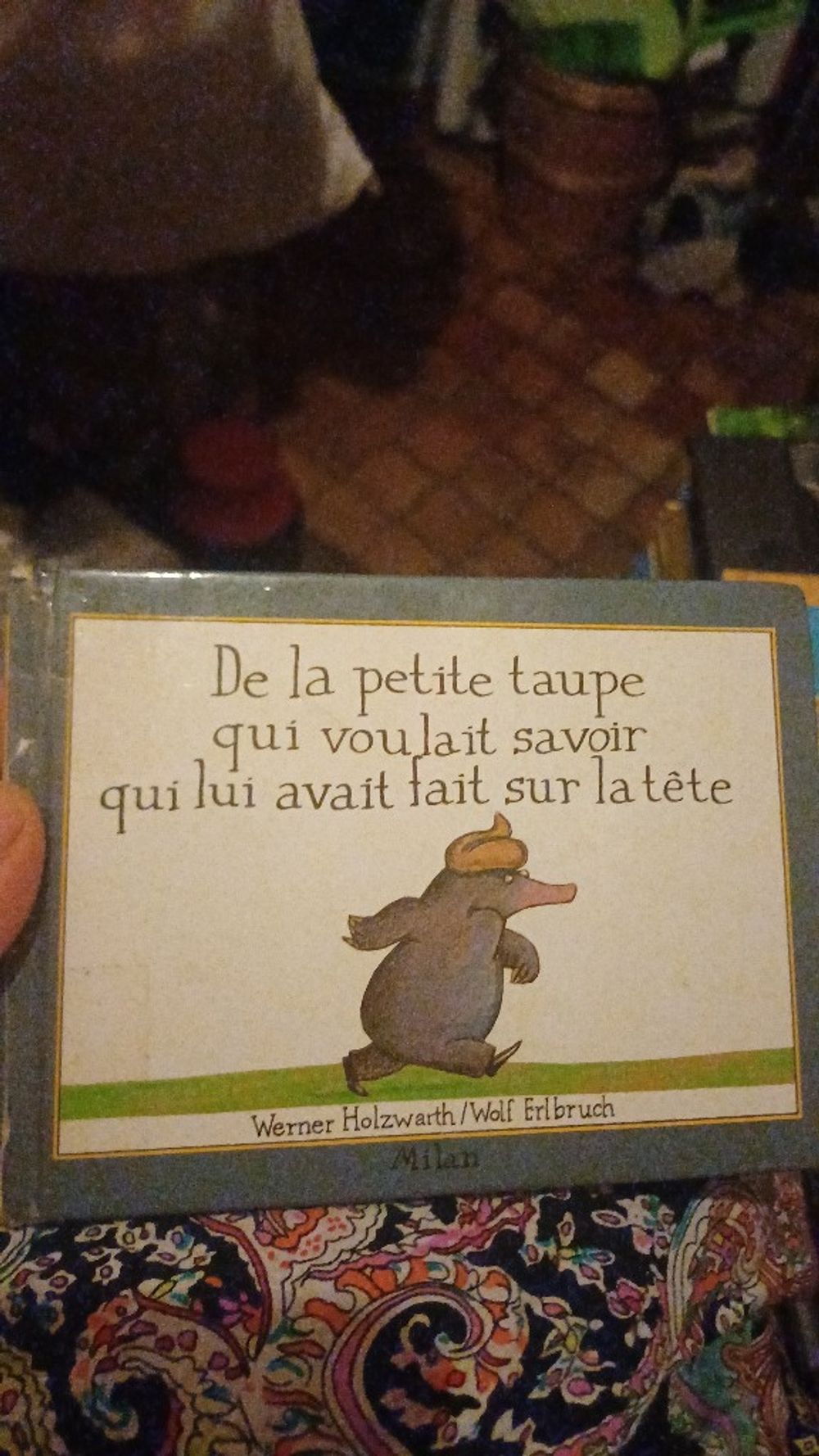 Image item