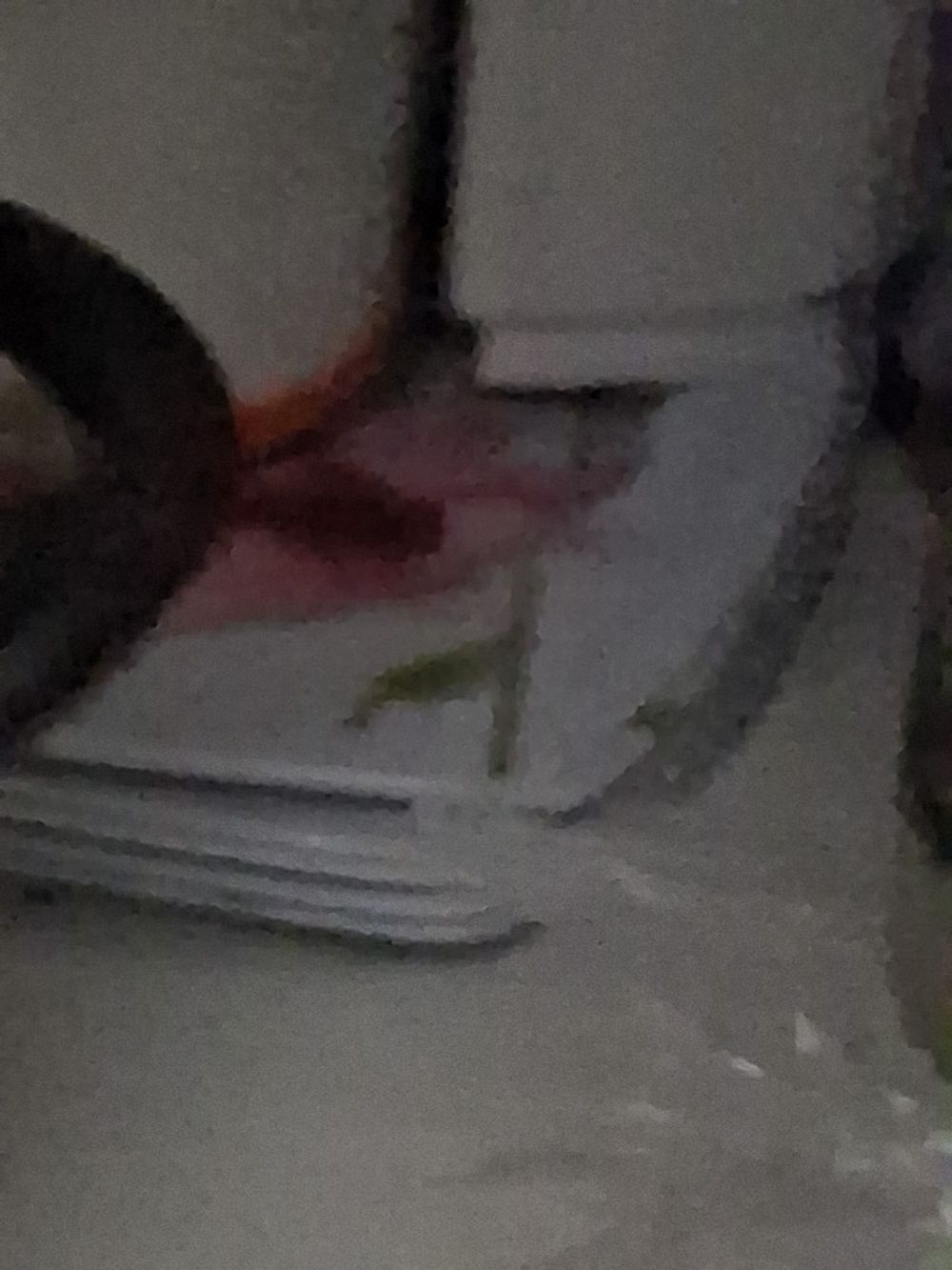 Image item