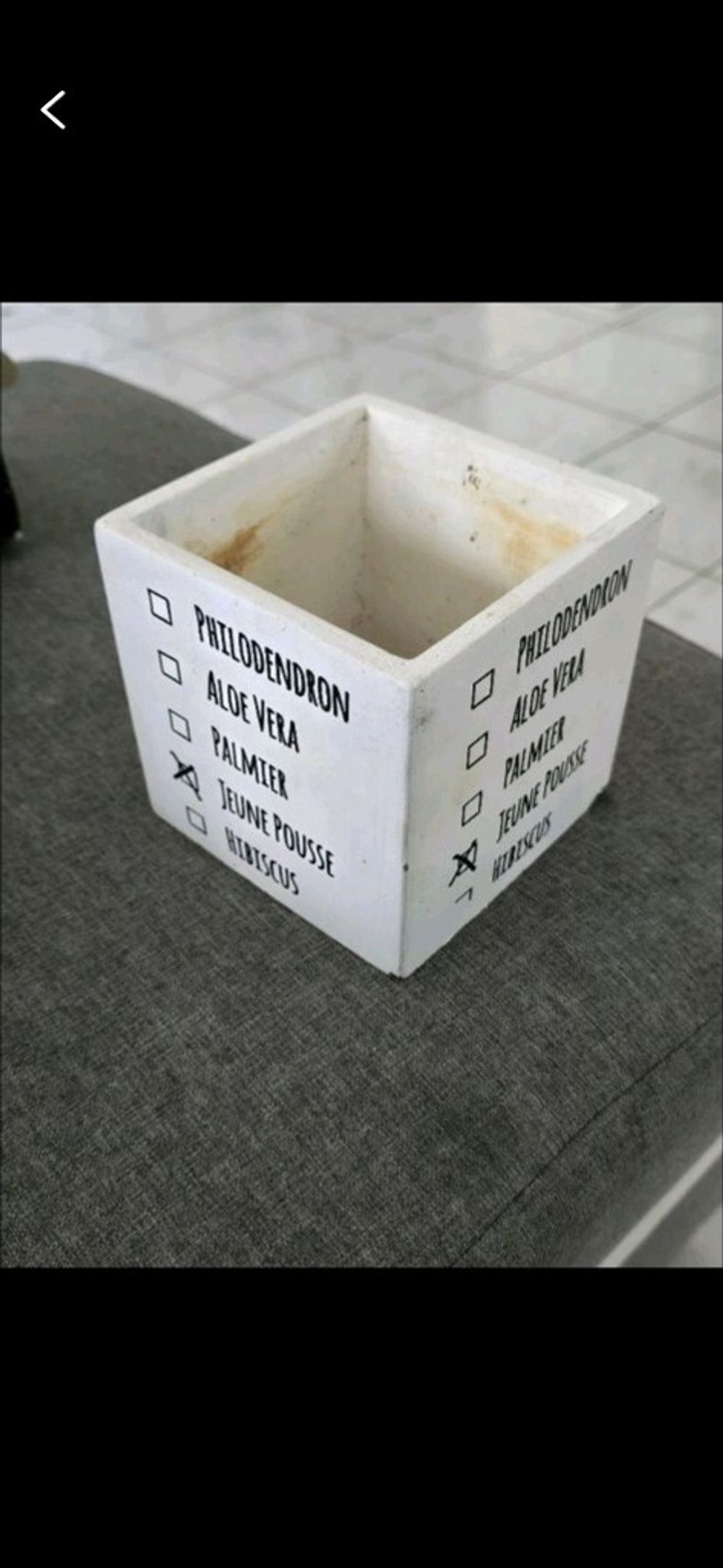 Image item