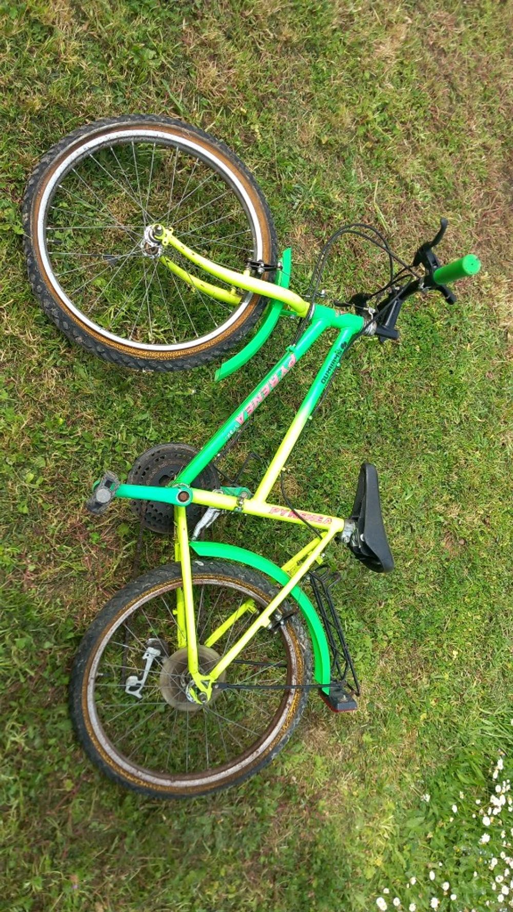 Image item