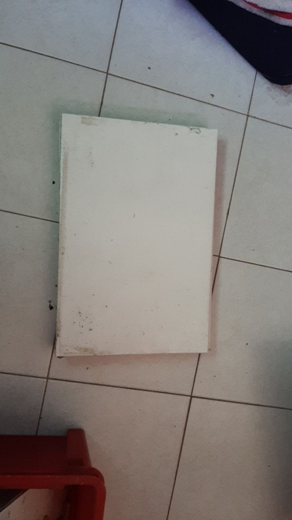 Image item