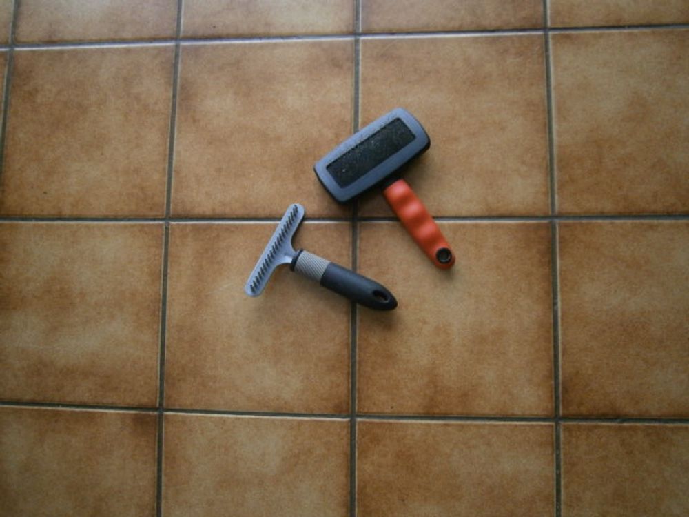 Image item