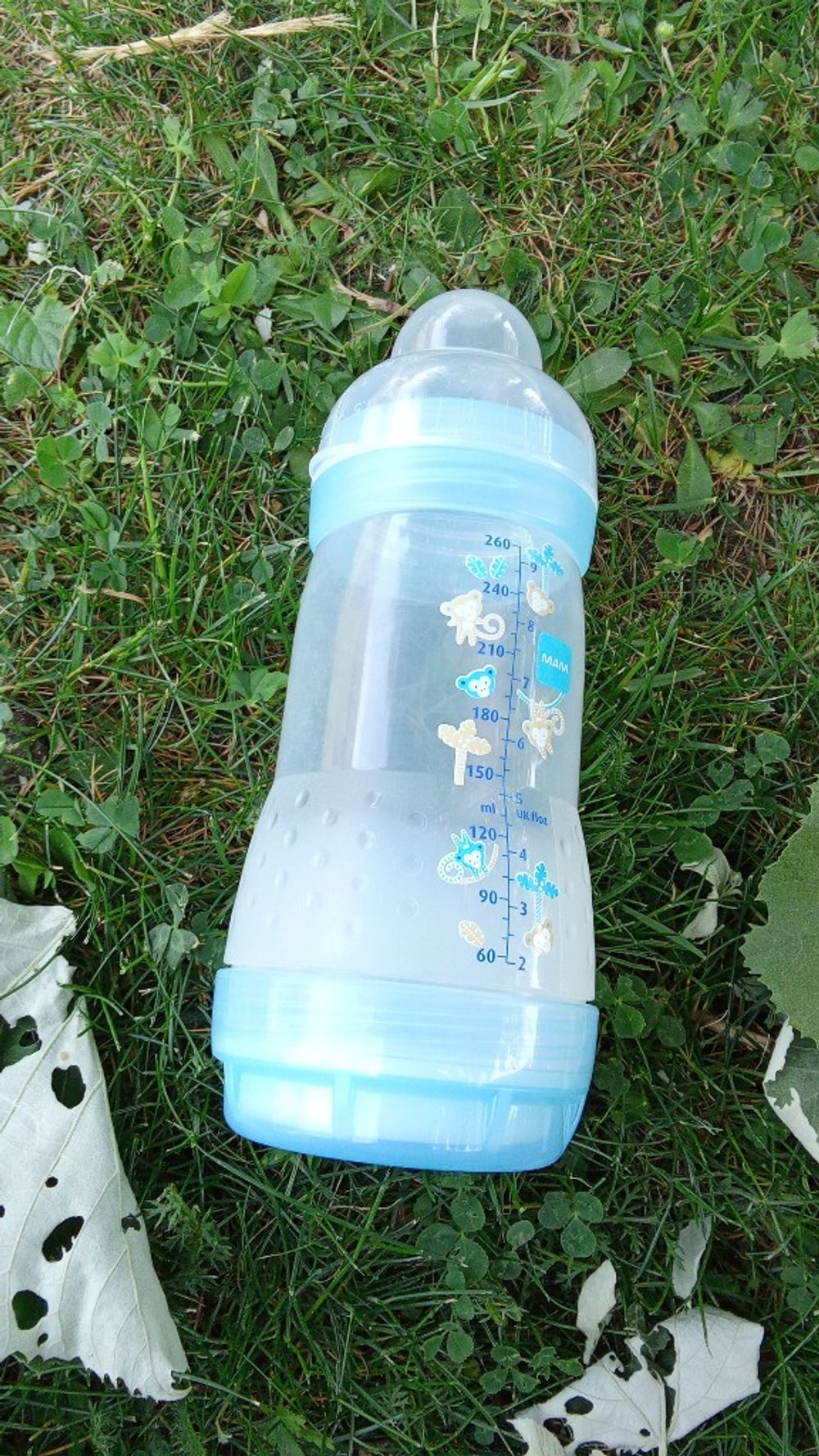 Image item