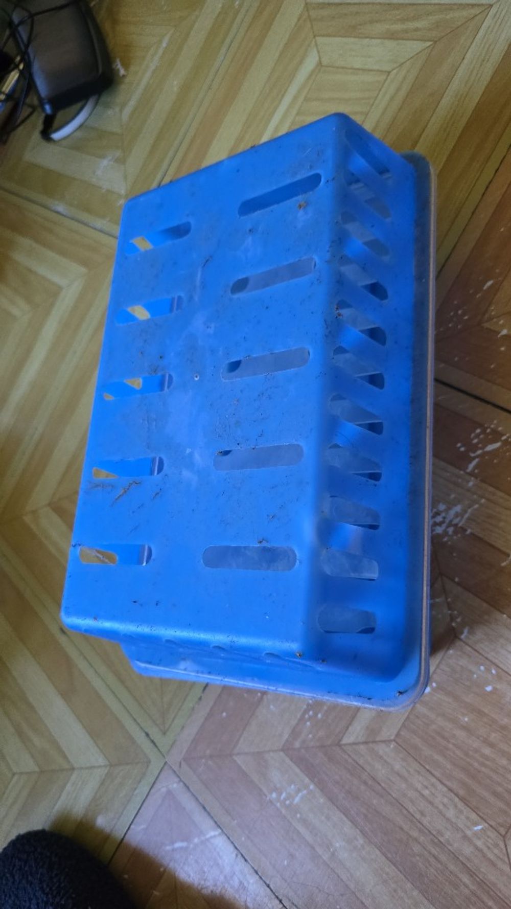 Image item