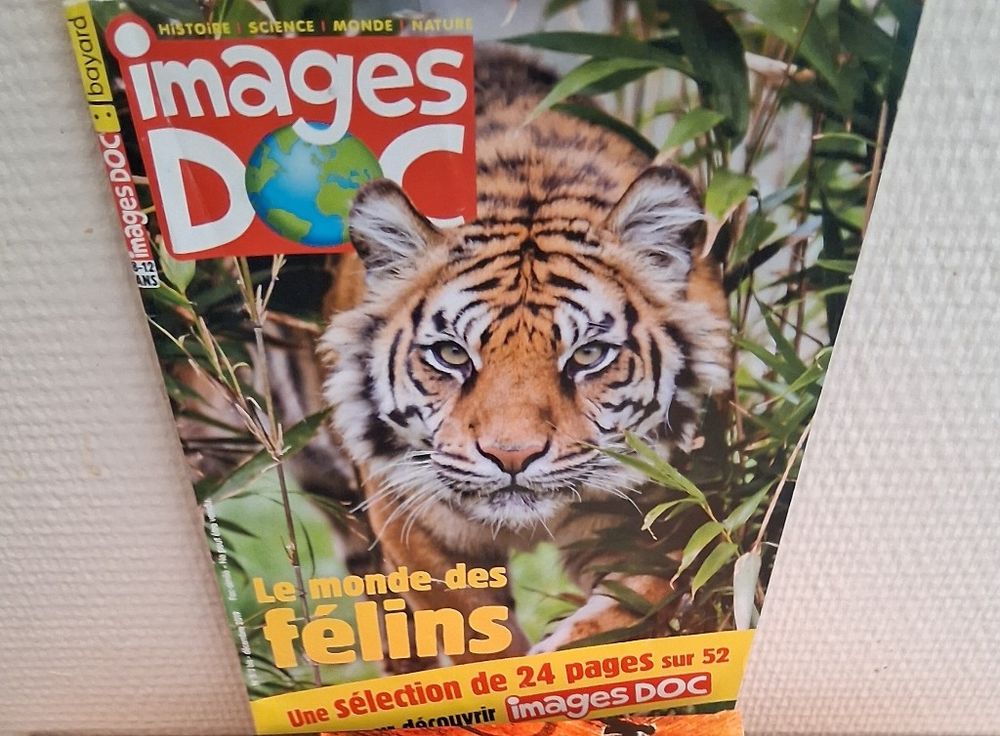 Image item