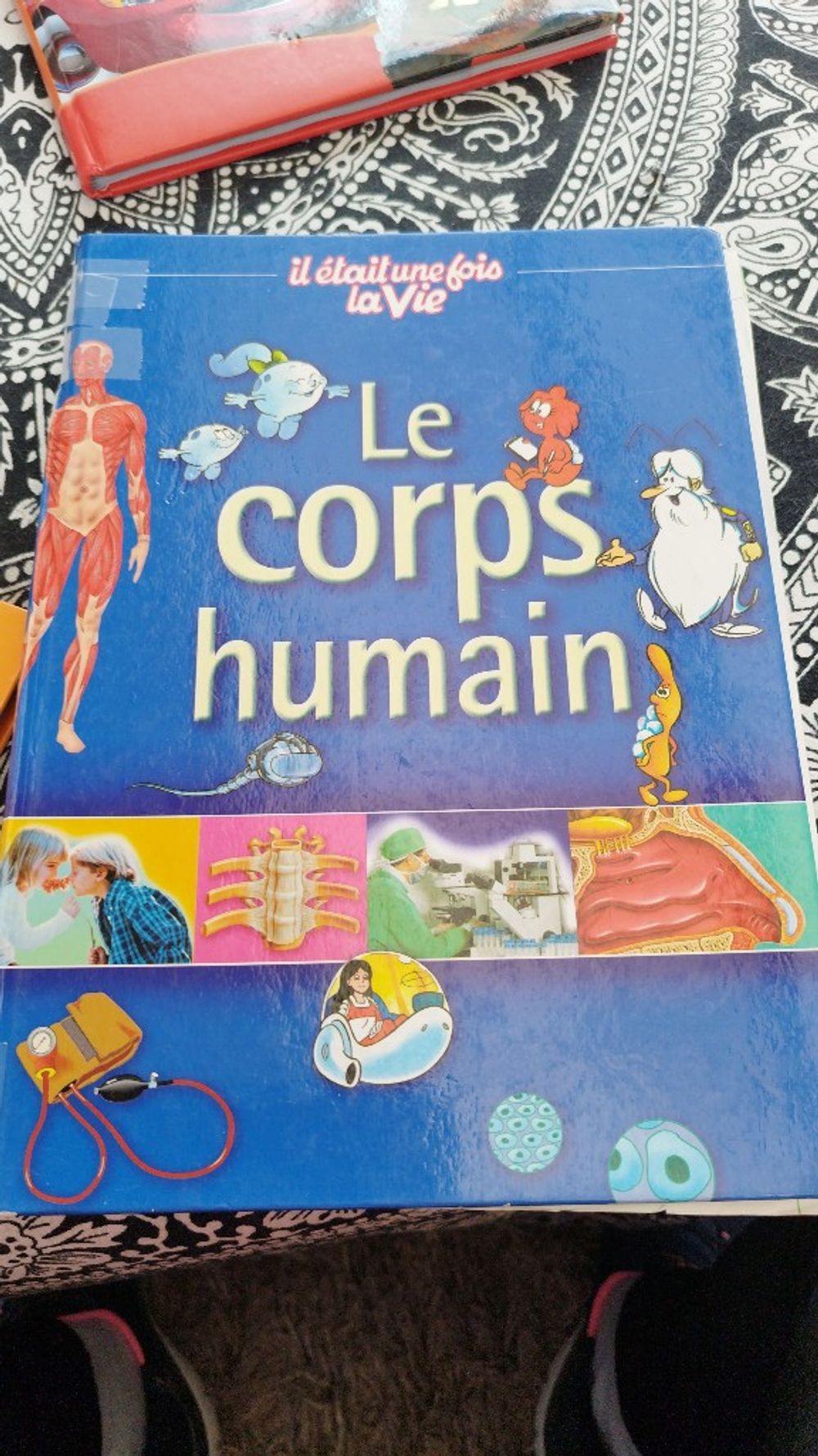 Image item