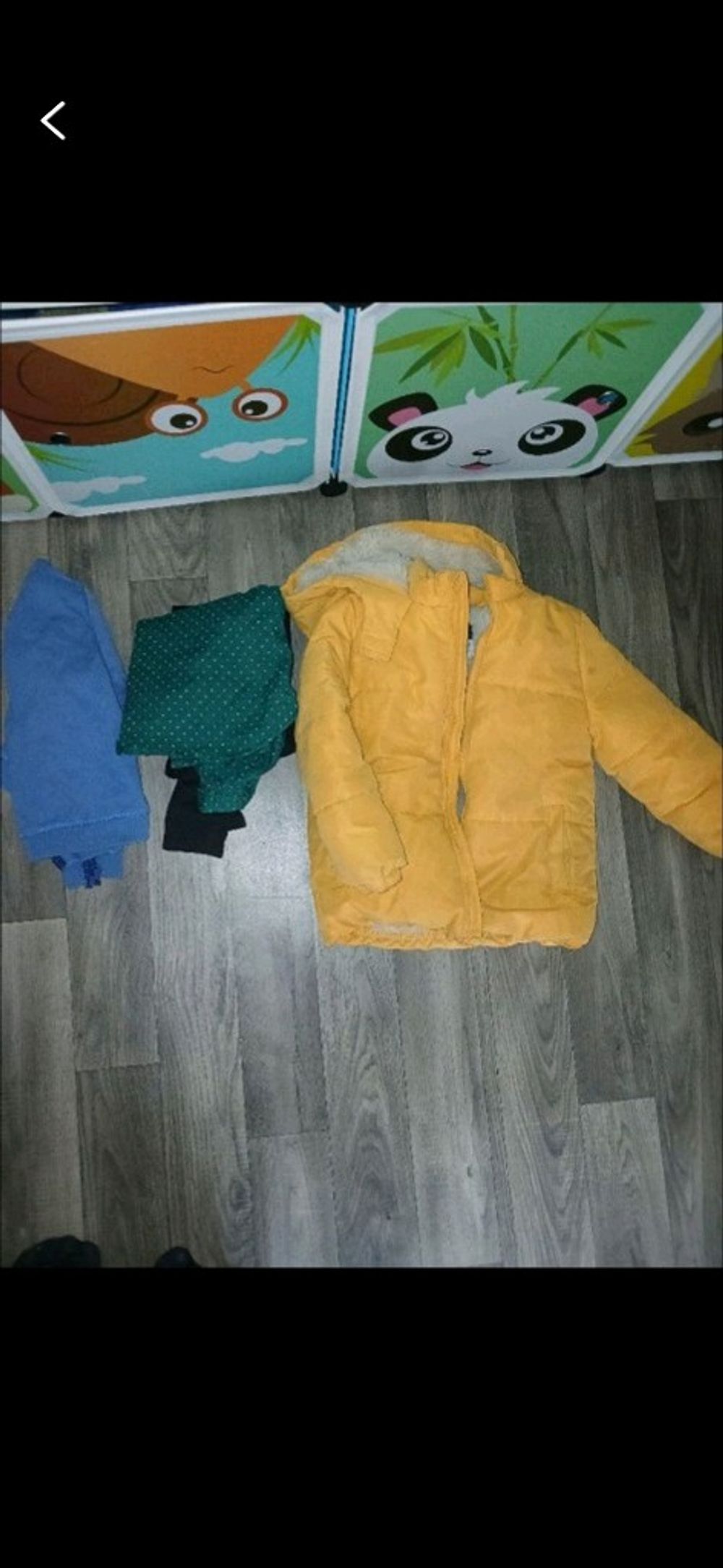 Image item
