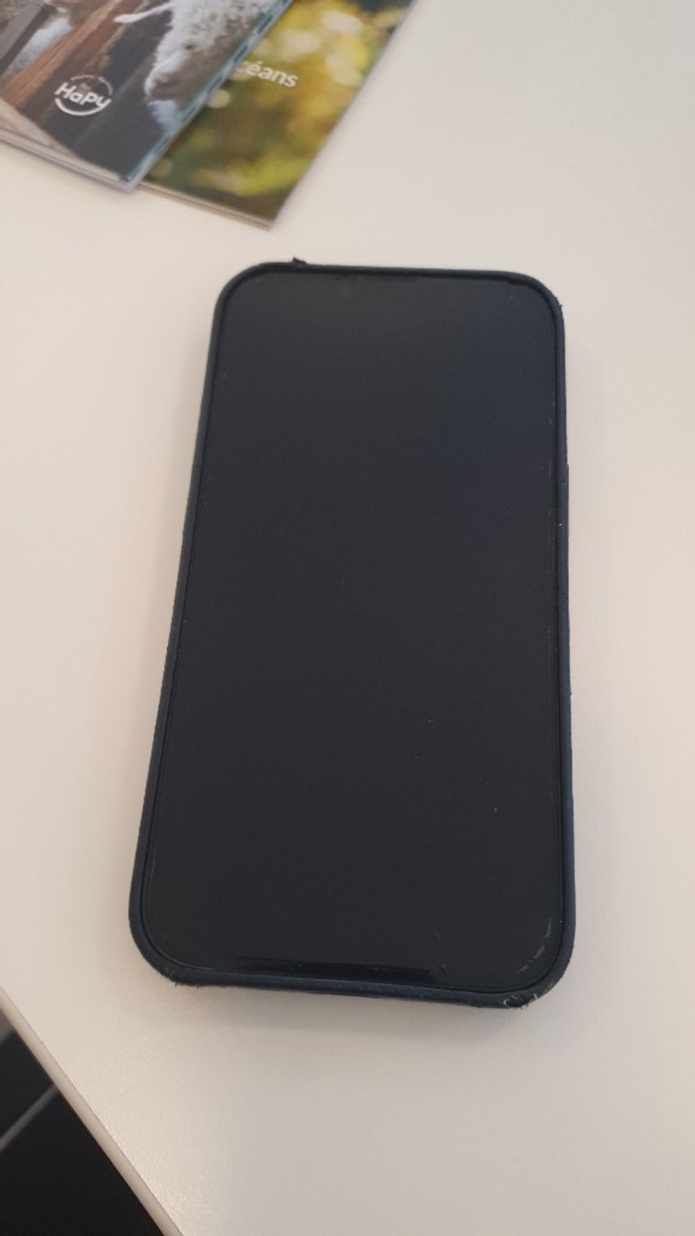 Image item