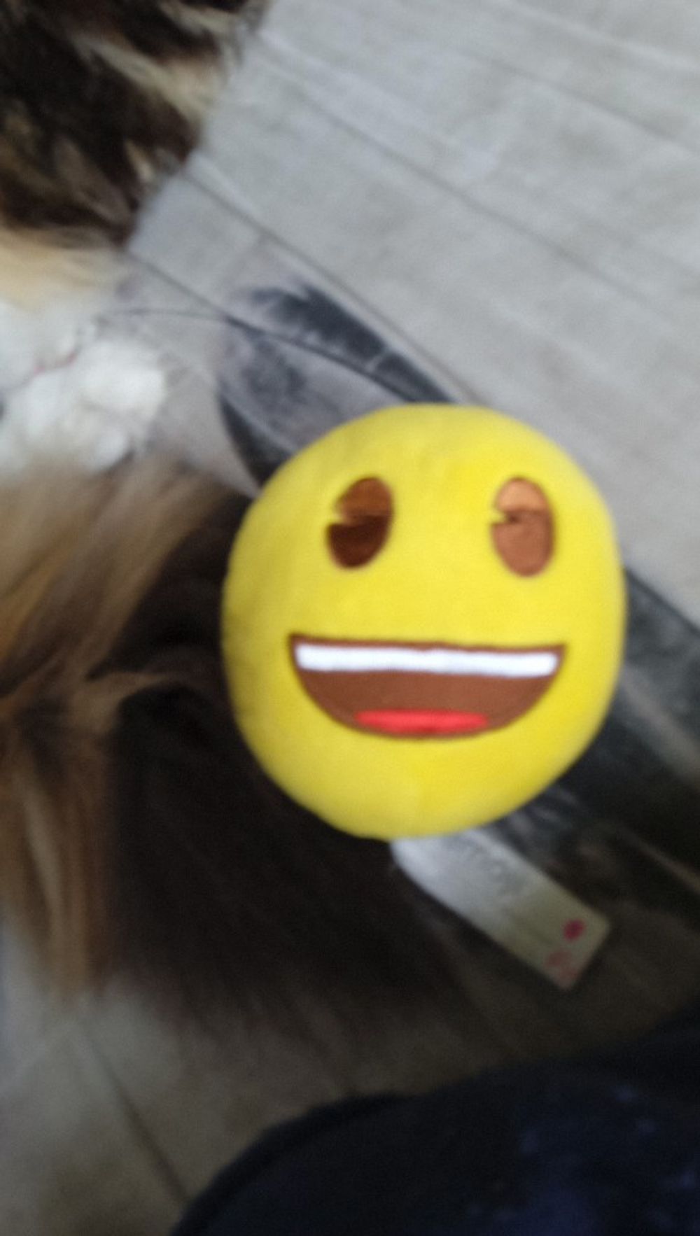 Image item