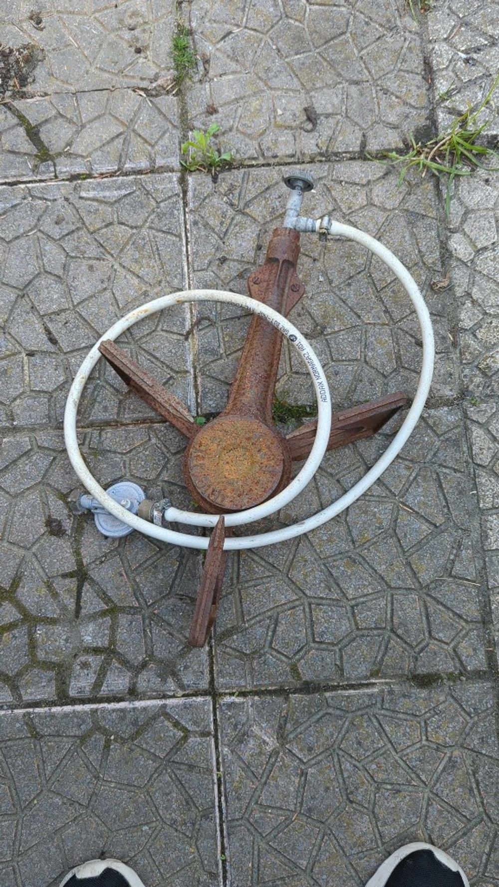 Image item
