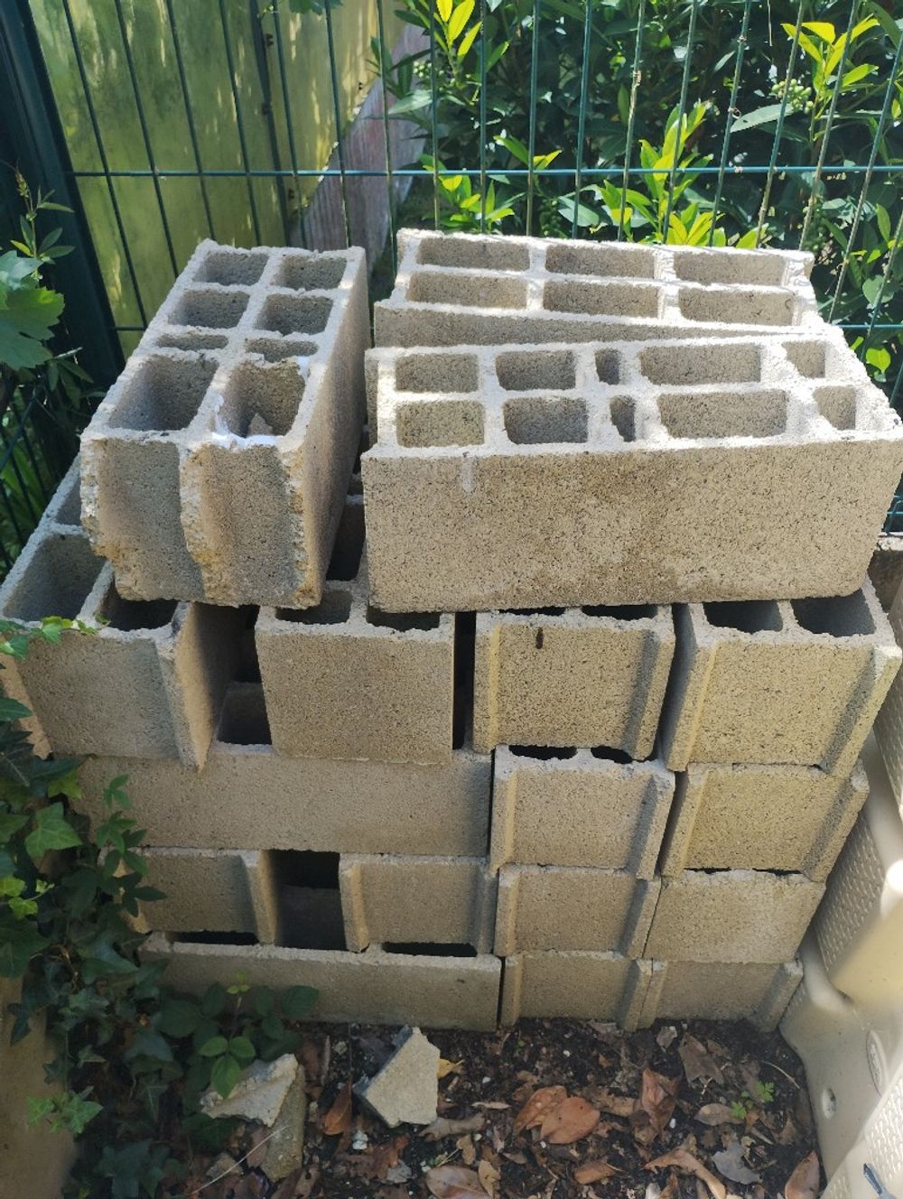 Image item