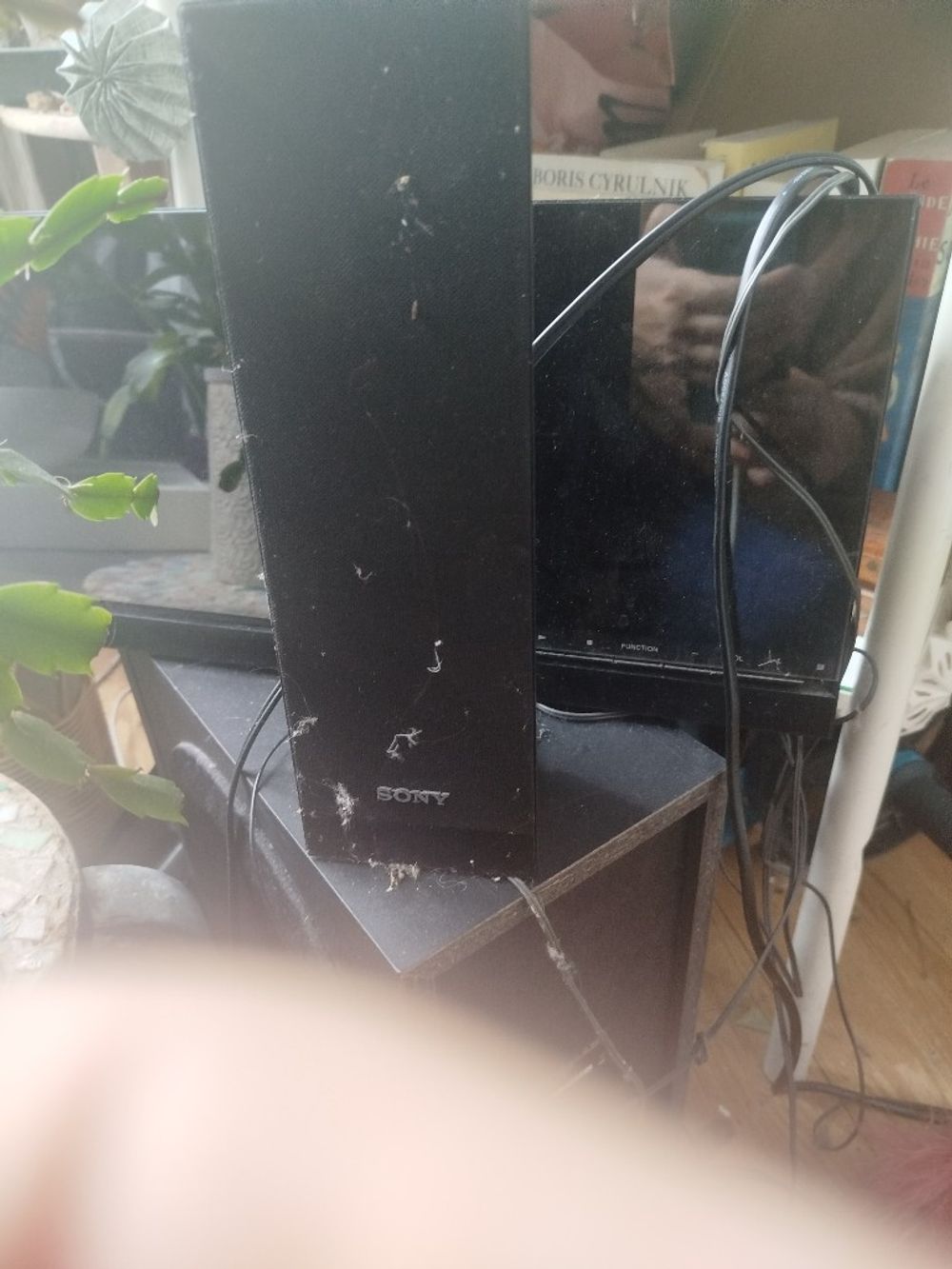 Image item