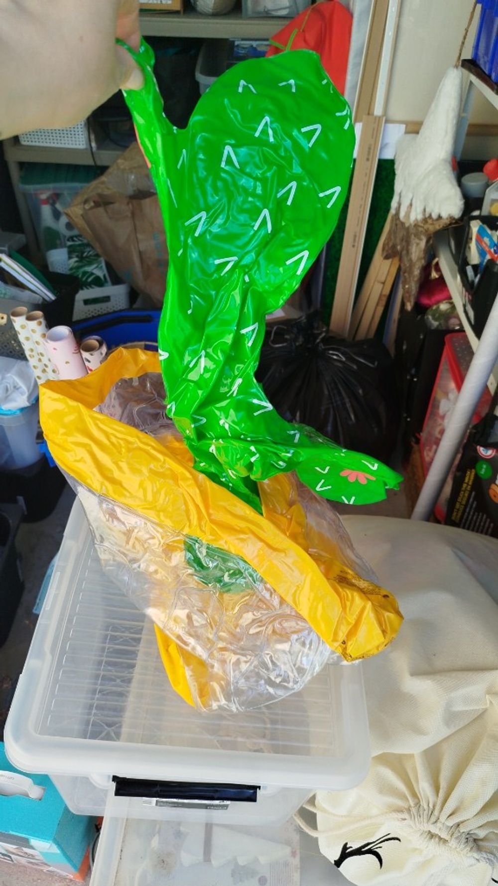Image item