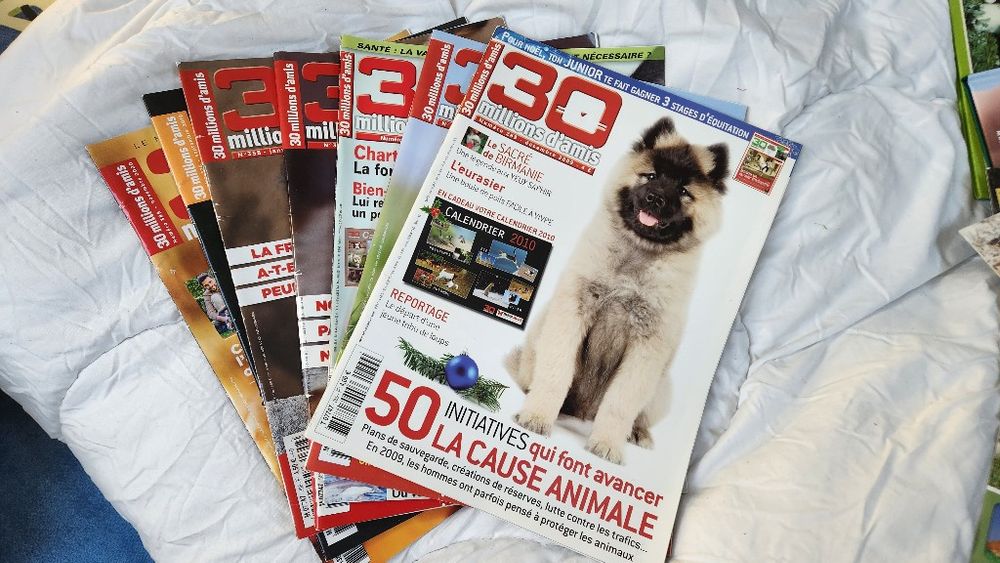 Image item