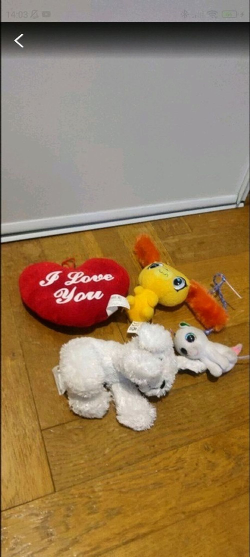 Image item