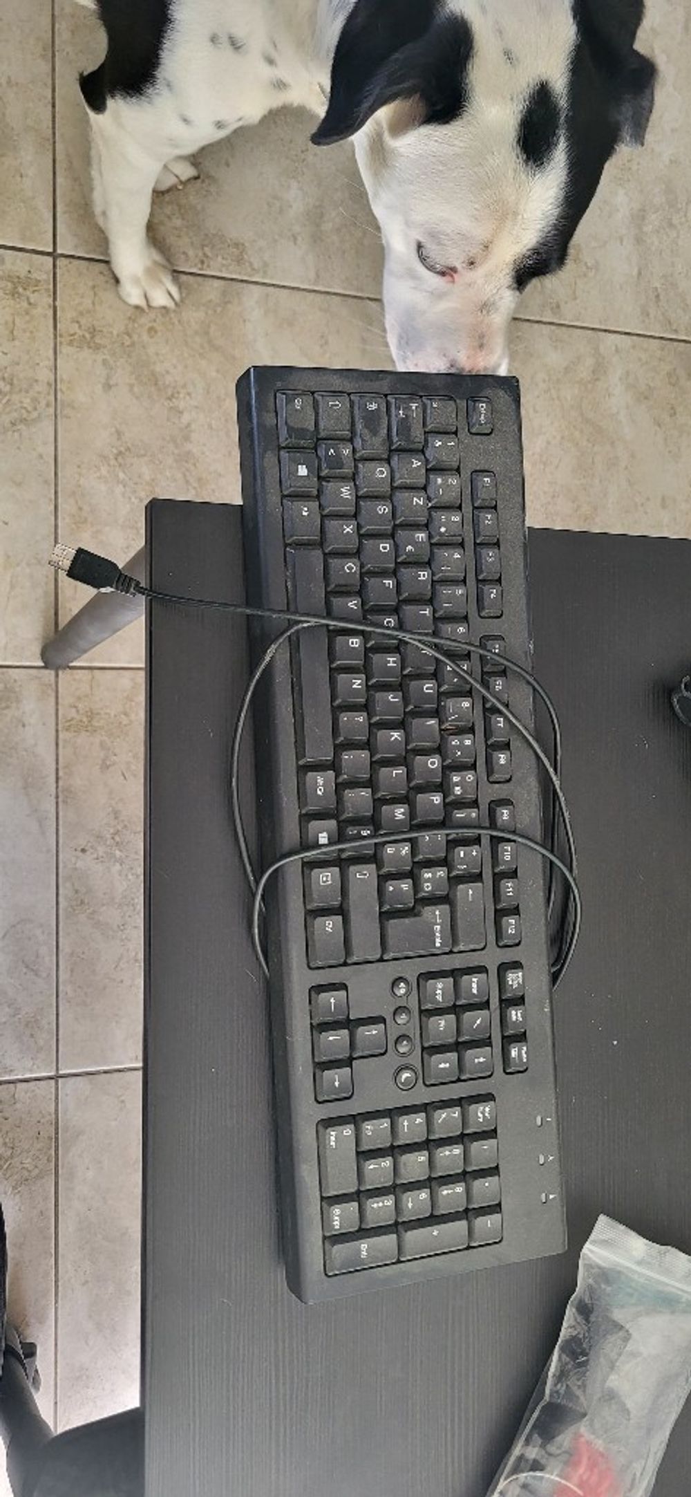 Image item