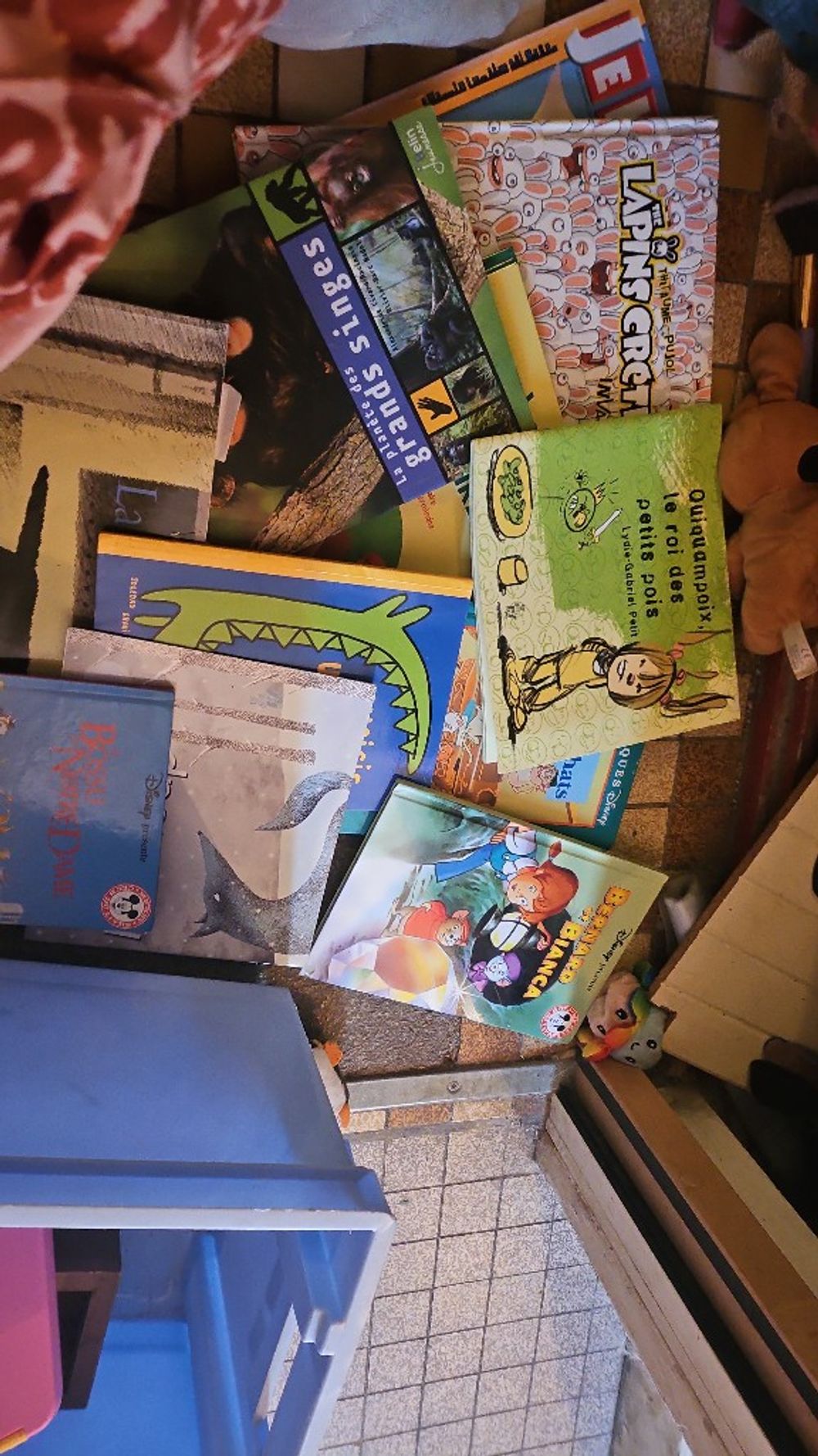 Image item