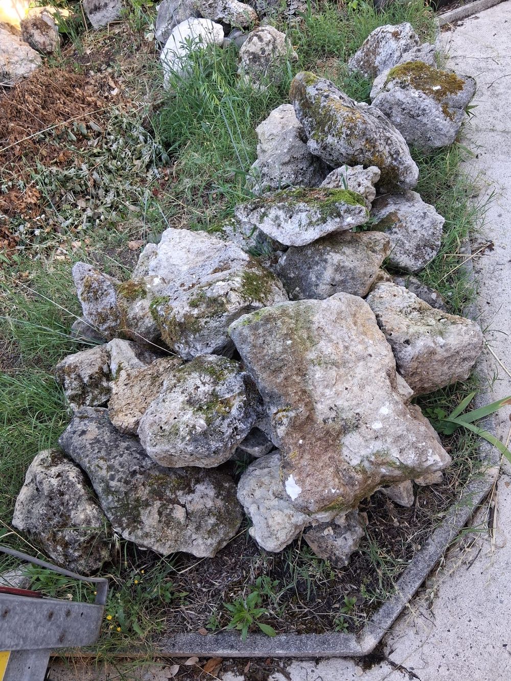 Image item