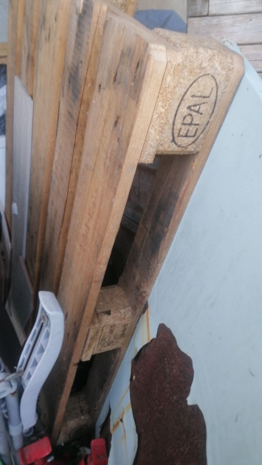 Image item