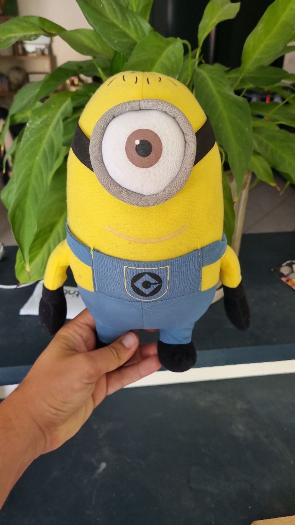 Image item