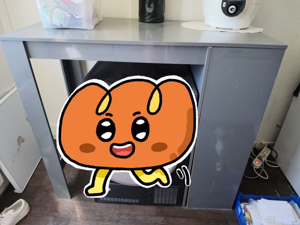 Image item