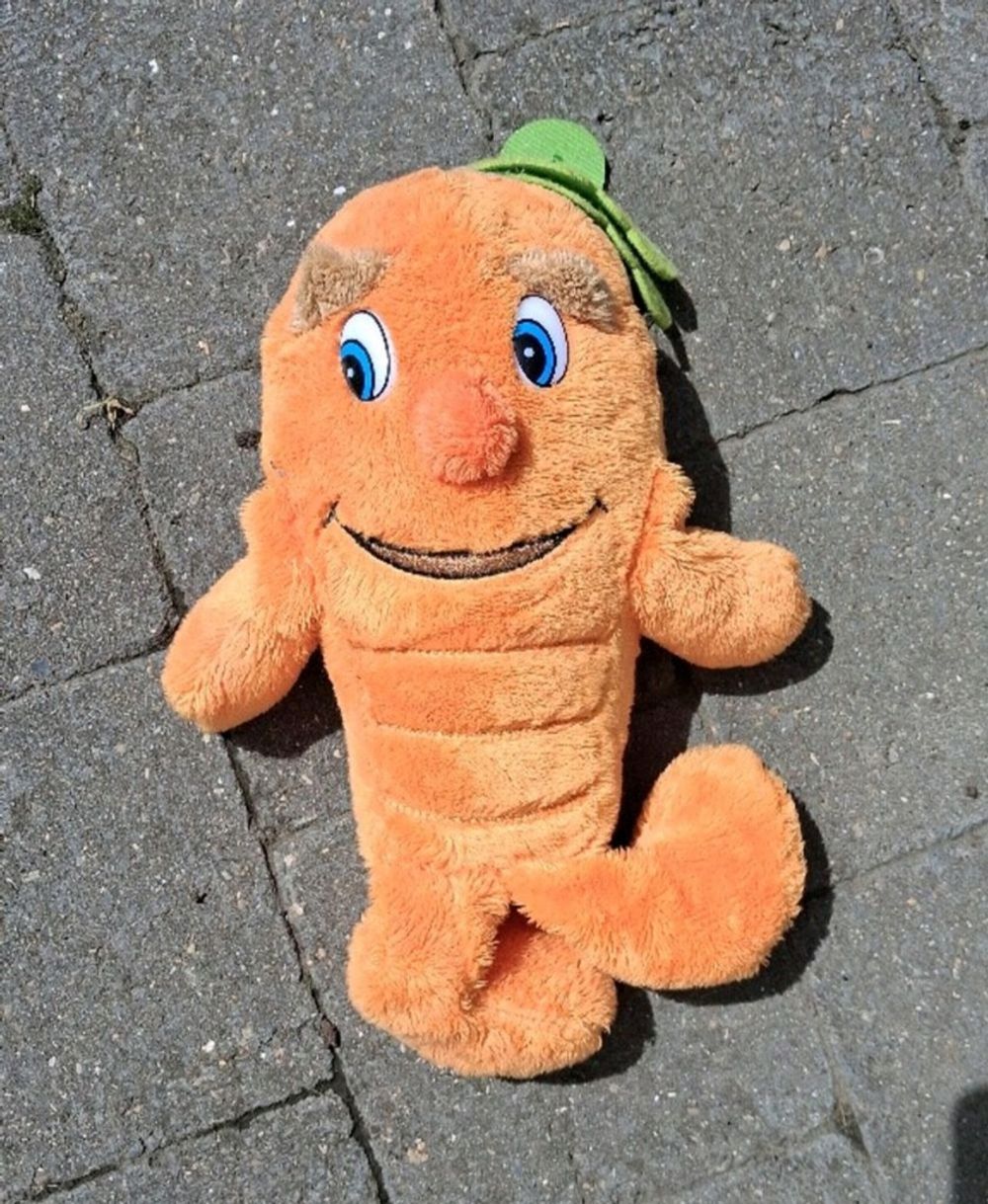 Image item