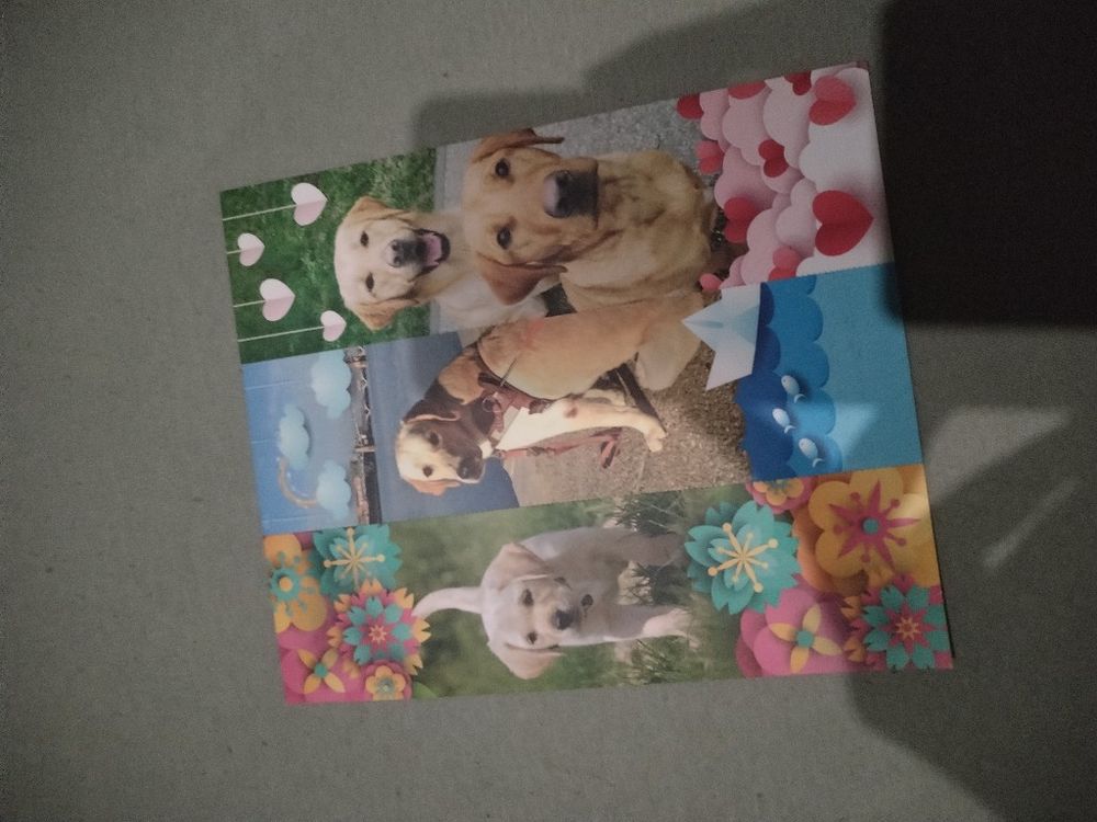 Image item