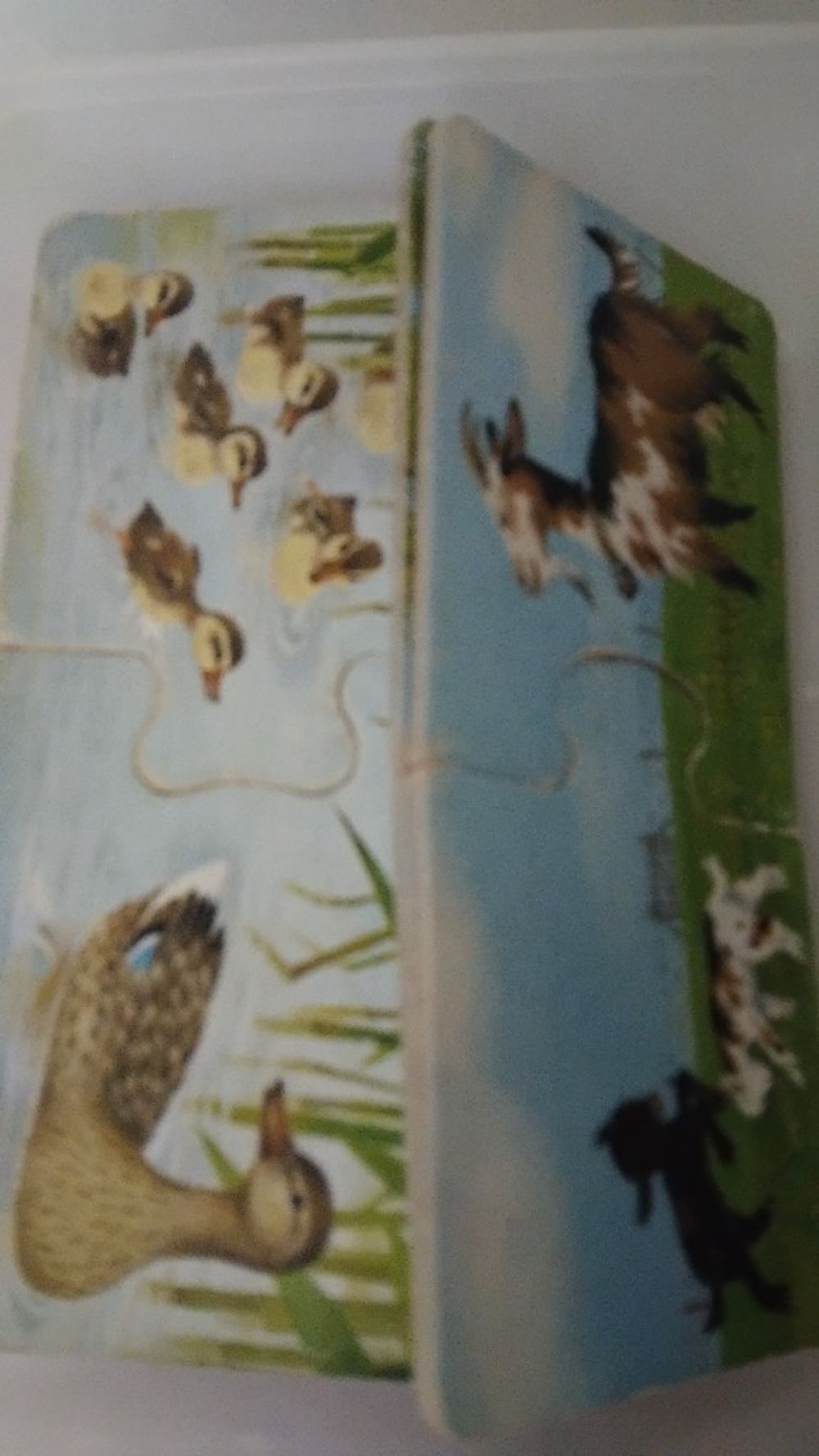 Image item