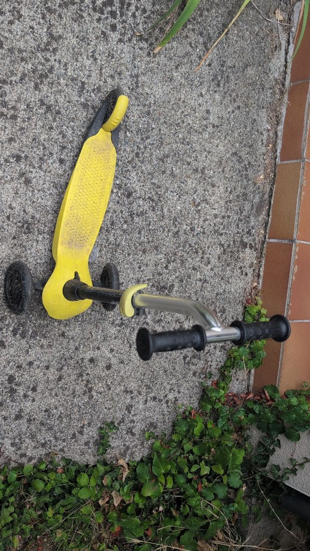 Image item