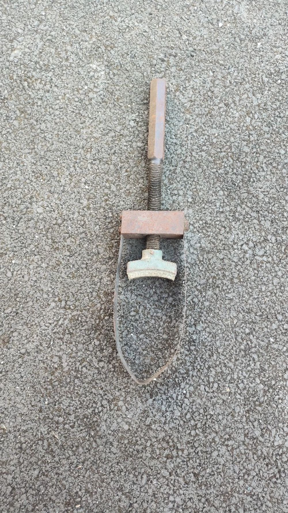 Image item
