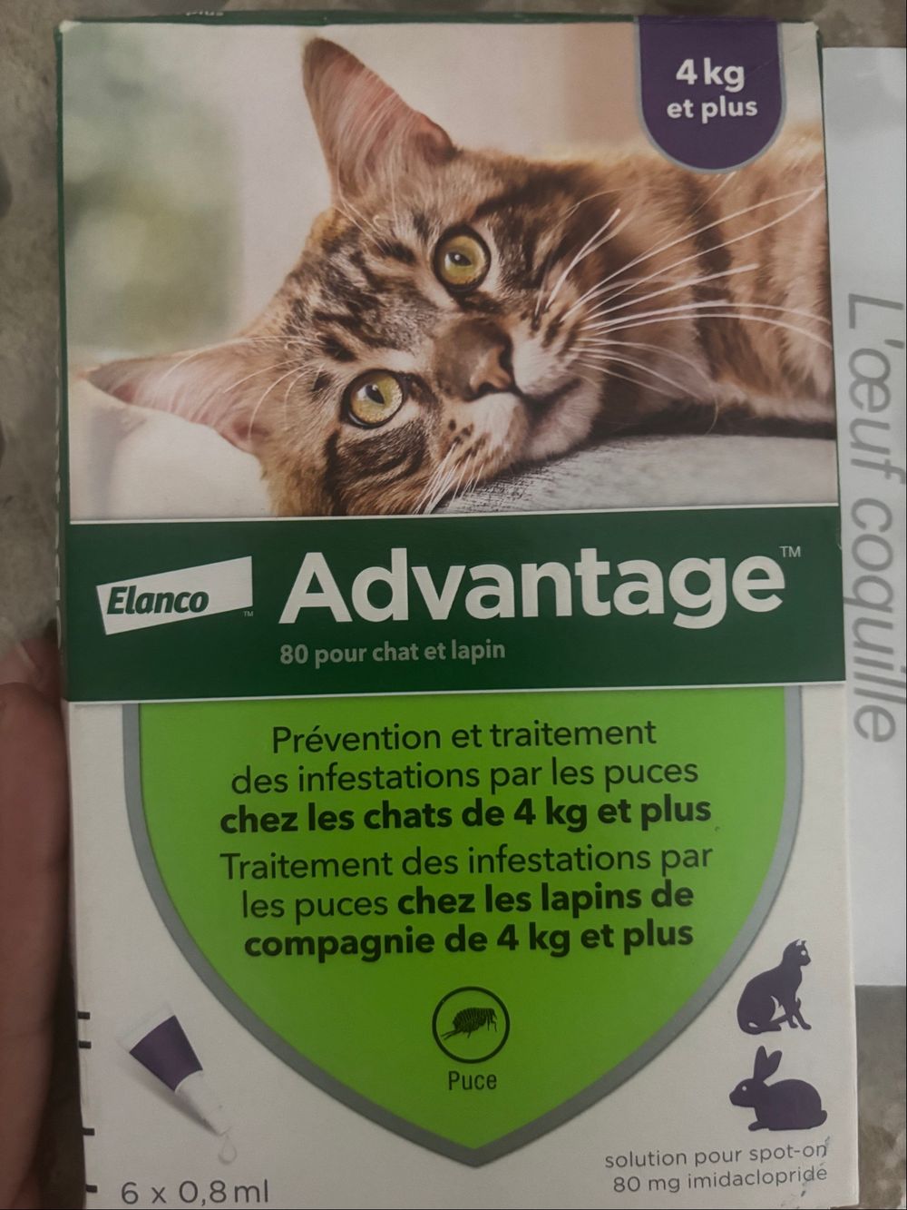 Image item