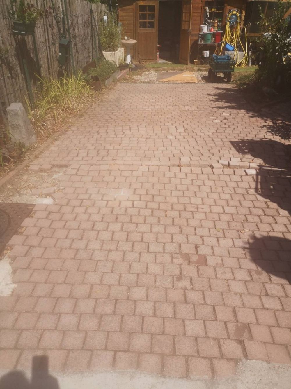 Image item