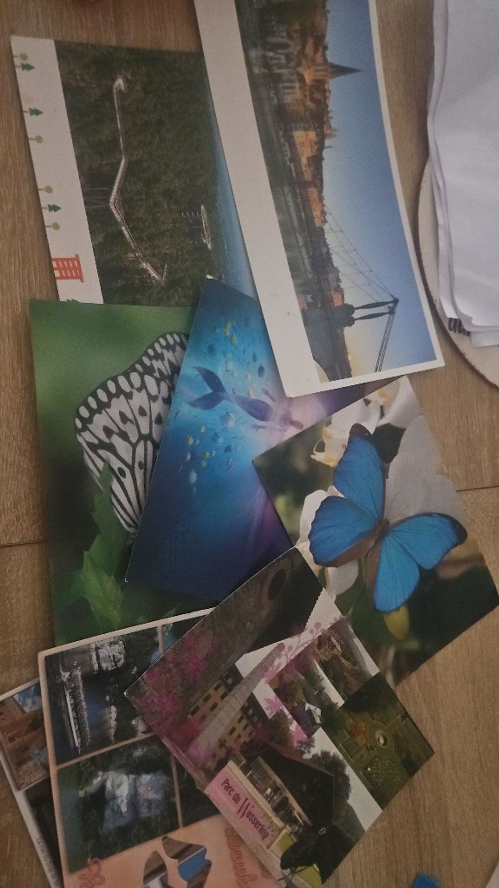 Image item