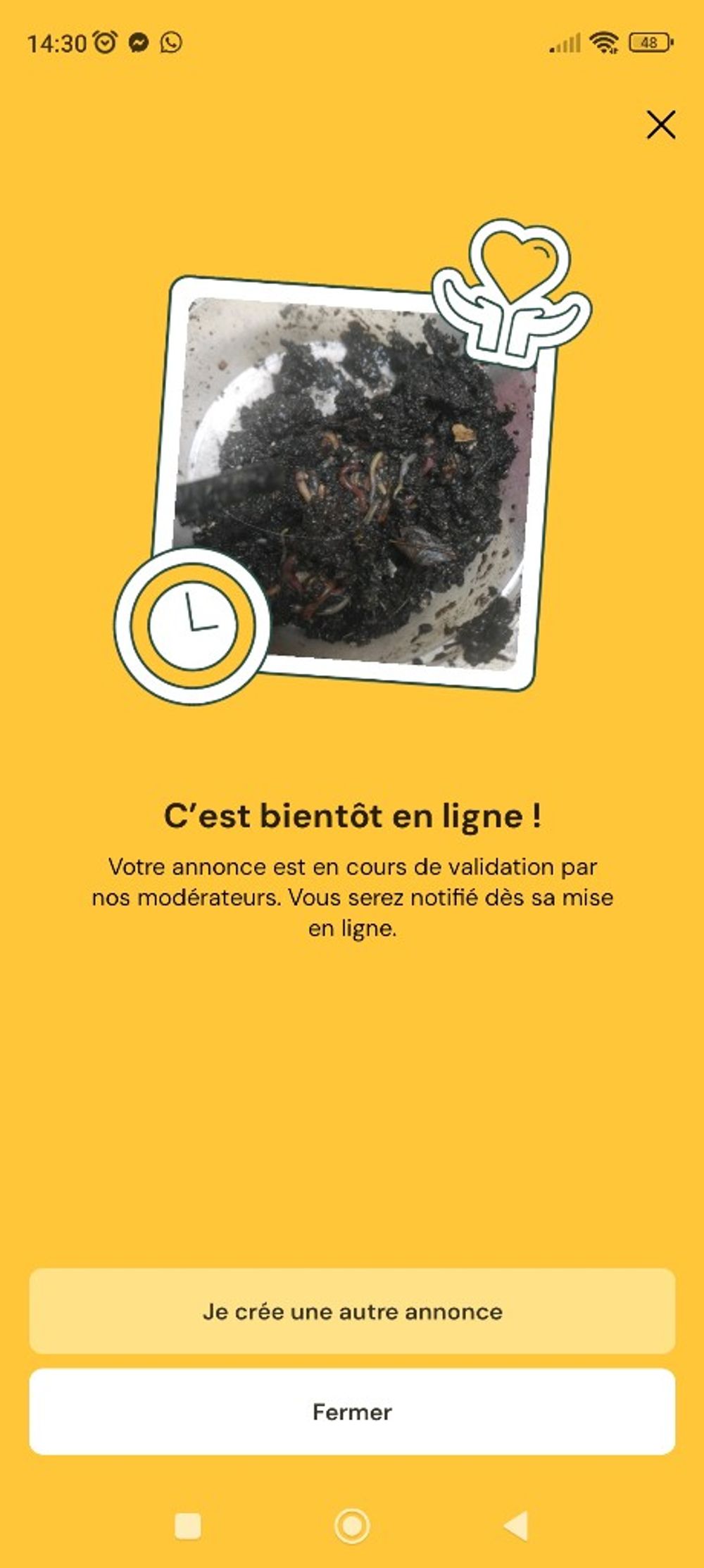 Image item