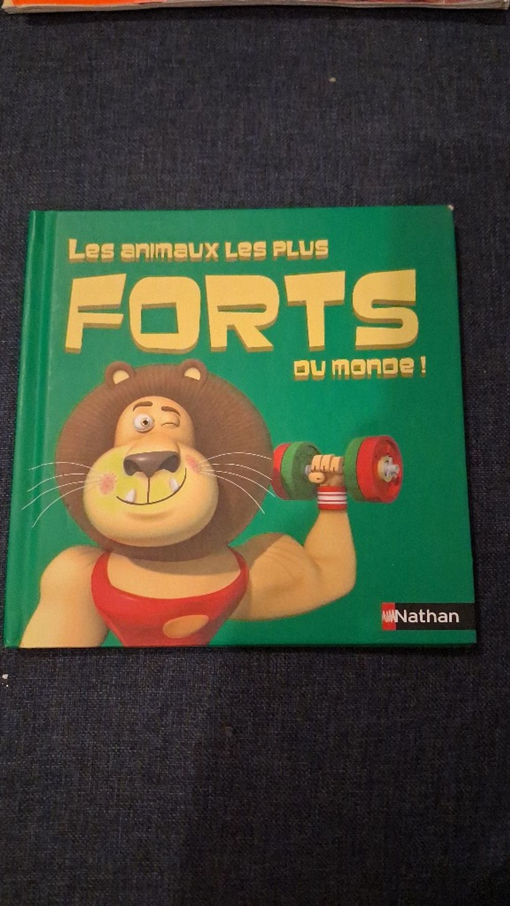 Image item