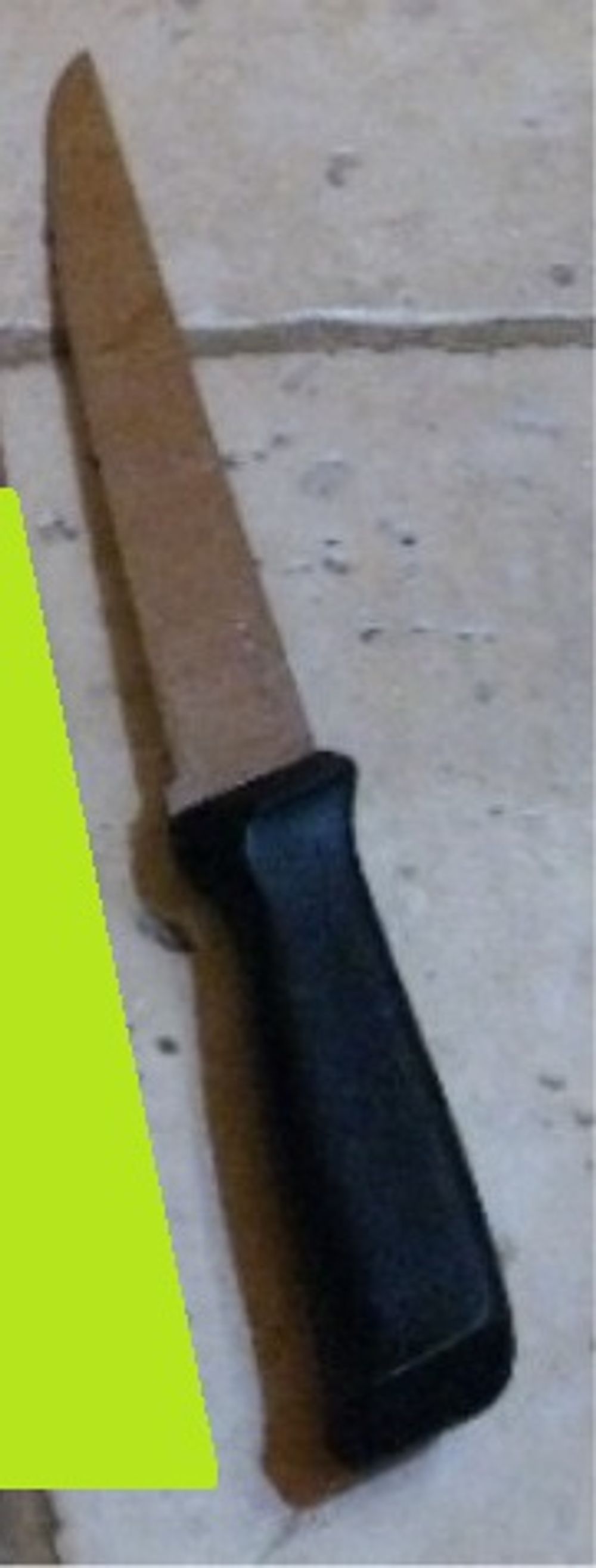 Image item