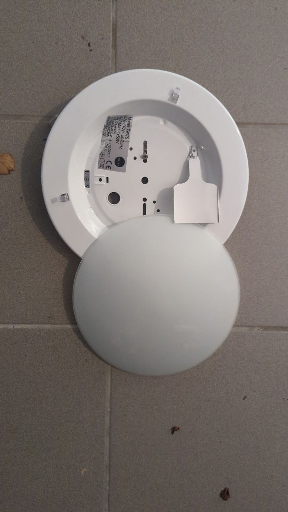 Image item