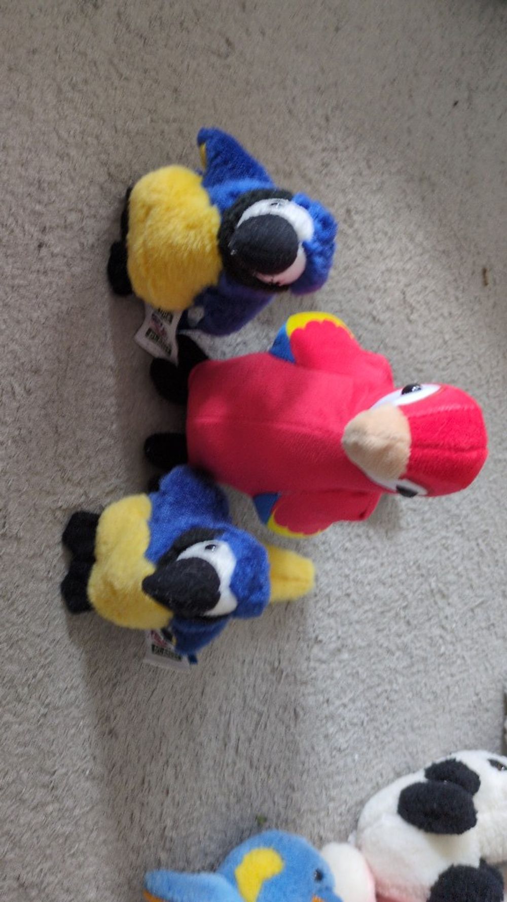 Image item