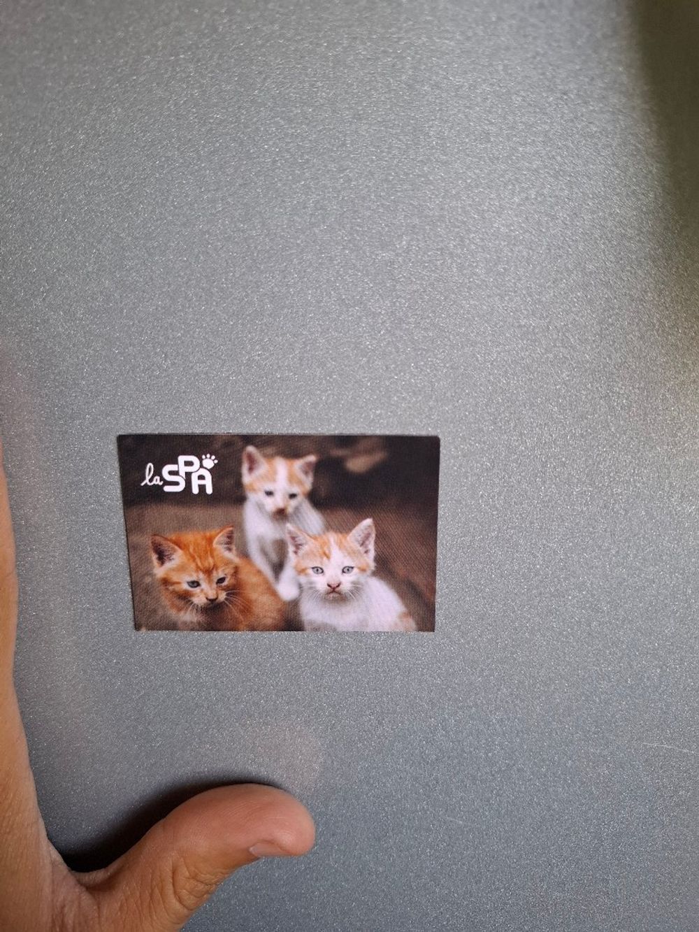 Image item