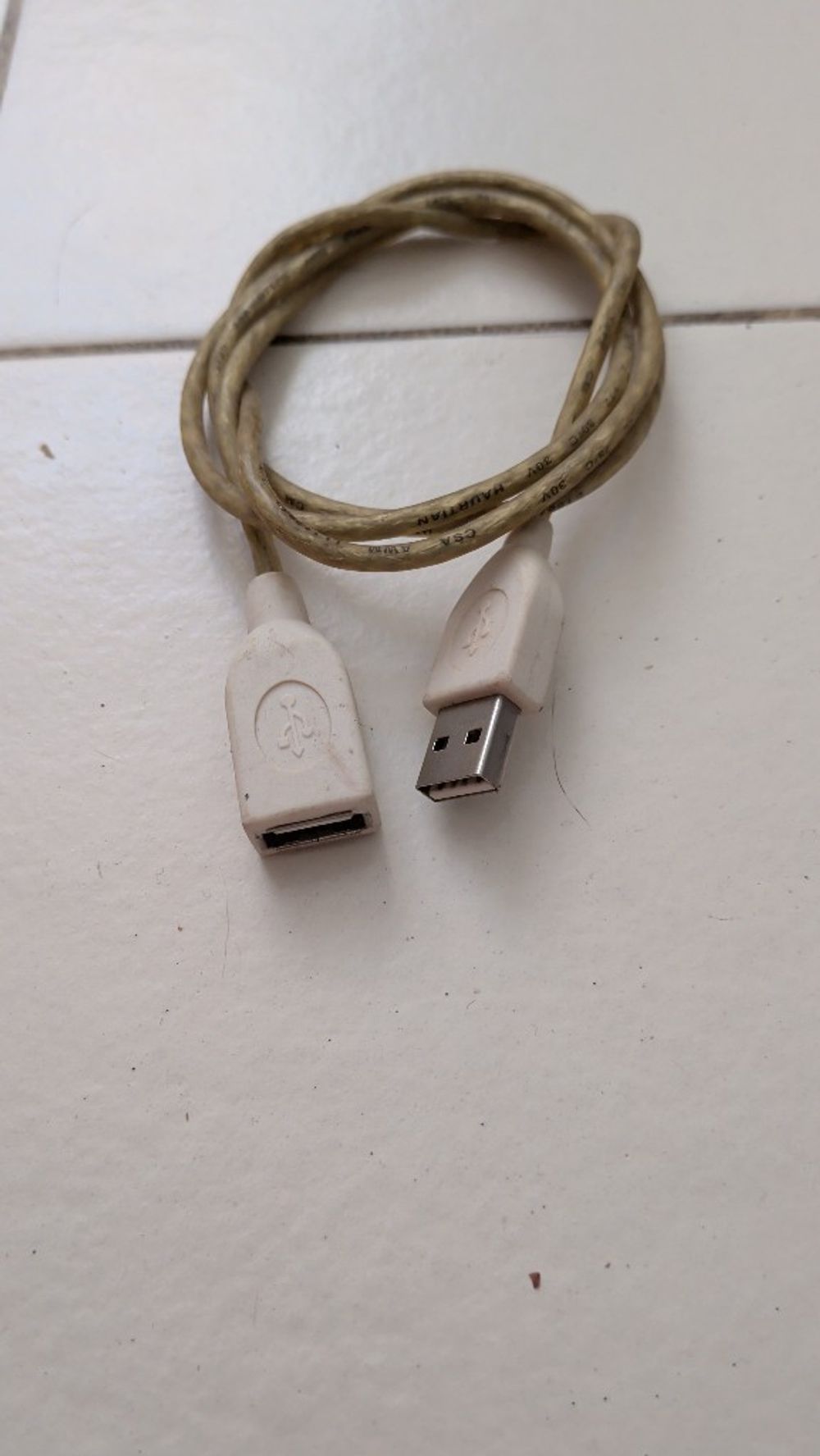 Image item