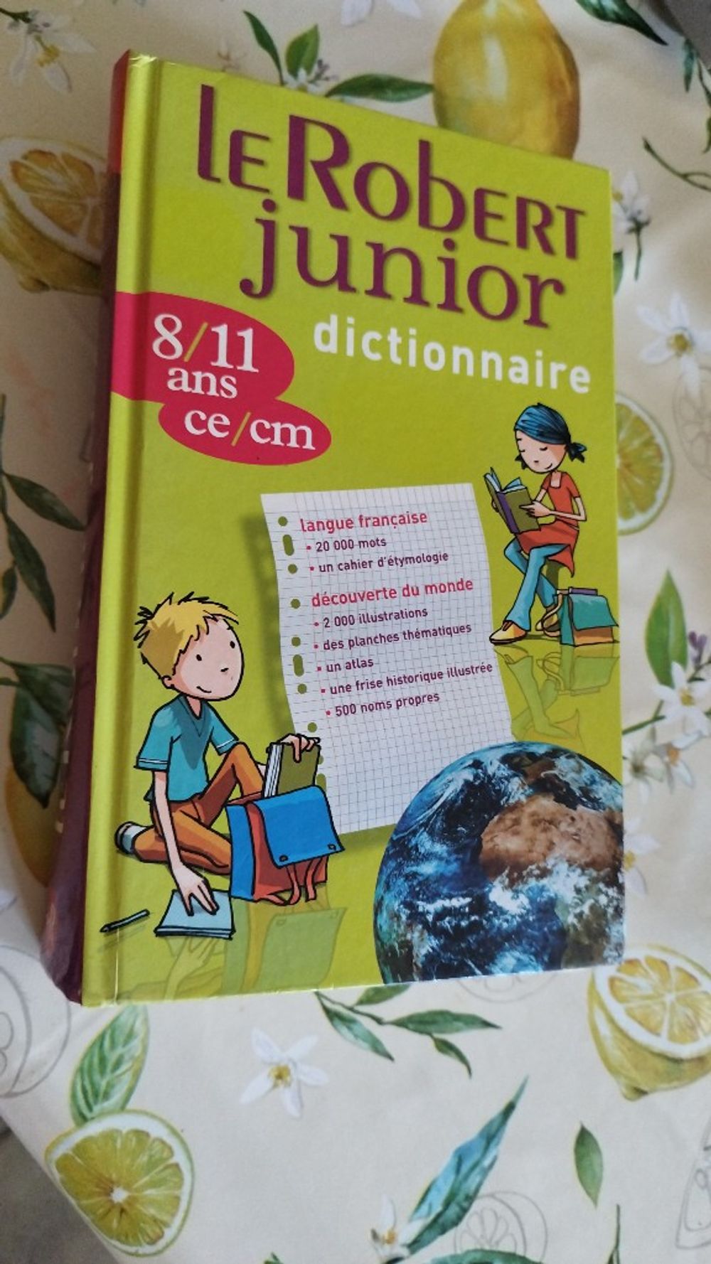 Image item