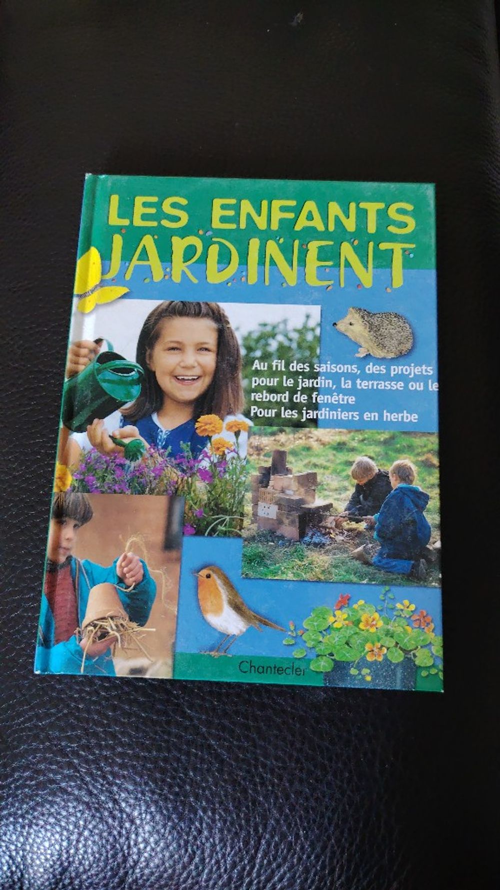 Image item
