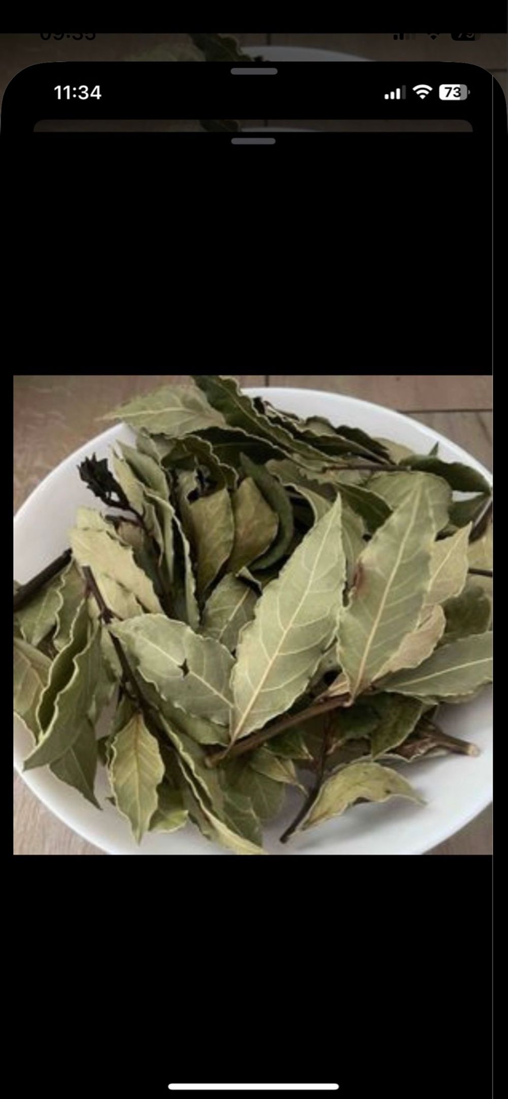 Image item