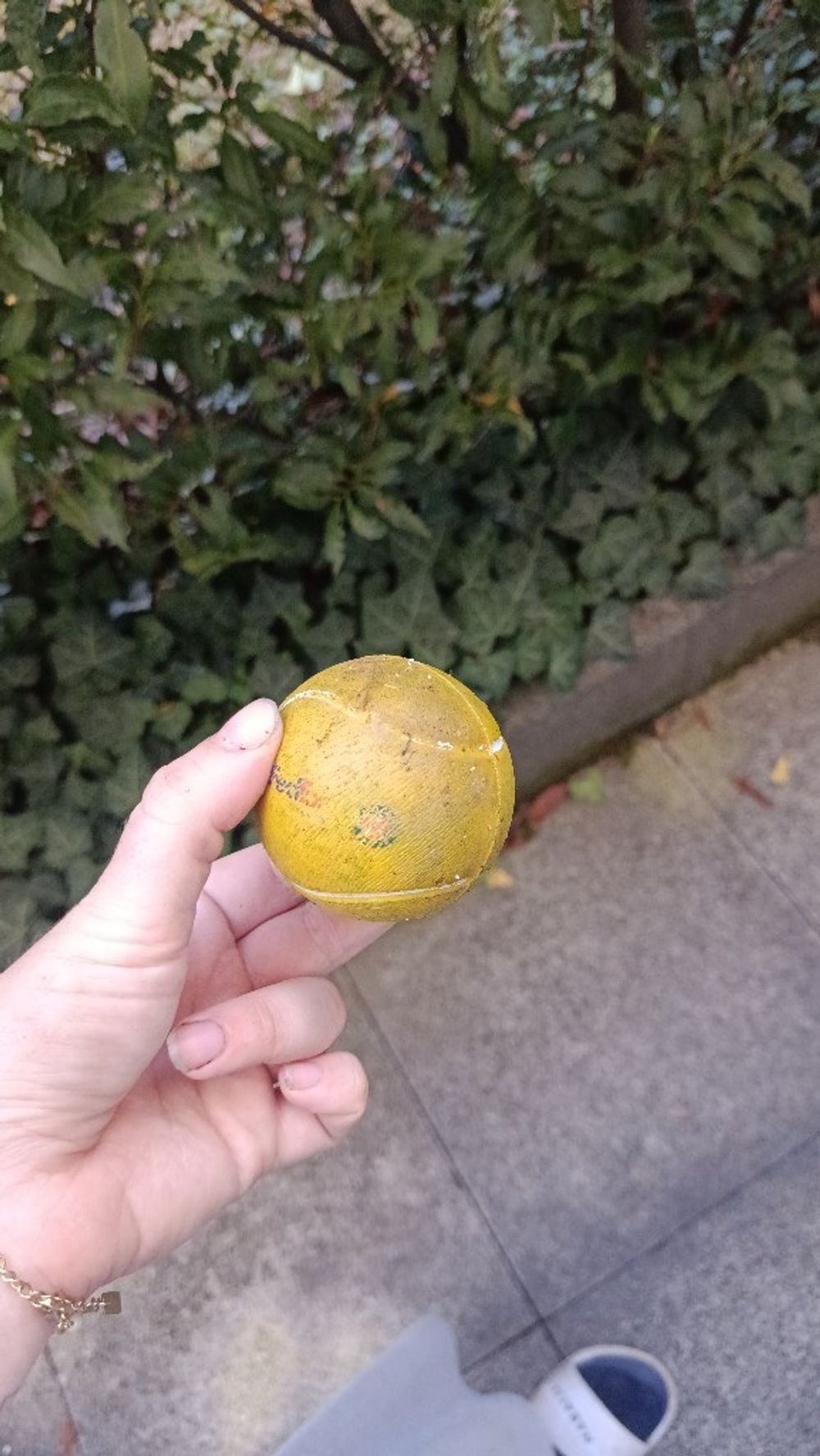 Image item